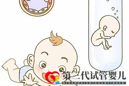 取卵多為什么可移植胚胎數(shù)不多？卵泡和試管成功率的關(guān)系(圖1)
