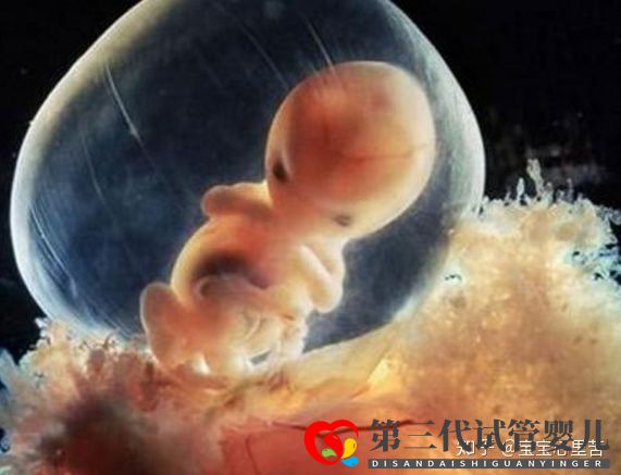 不孕夫婦獨(dú)家大揭秘第三代試管嬰兒多少錢—費(fèi)用價(jià)格(圖2)