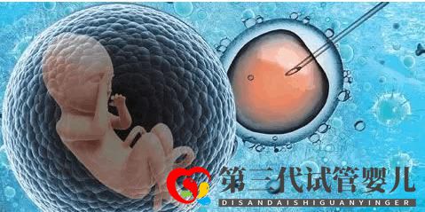 泰國試管嬰兒費用第二代和第三代的相差多少(圖1) 泰國試管嬰兒費用第二代和第三代的相差多少(圖1)