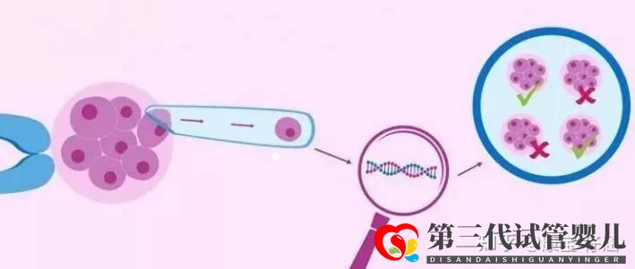 通俗易懂的一、二、三代試管嬰兒解說(shuō),及三代試管能...(圖5)