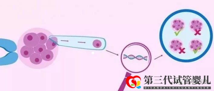 通俗易懂的一、二、三代試管嬰兒解說(shuō),及三代試管能...(圖7)