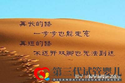 全國試管前百名醫(yī)院2021年全國三代試管嬰兒資質(zhì)醫(yī)...(圖10) 全國試管前百名醫(yī)院2021年全國三代試管嬰兒資質(zhì)醫(yī)...(圖10)