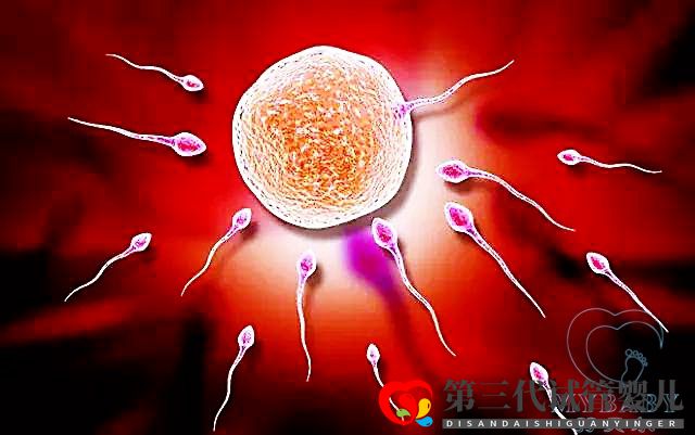 精子不動(dòng)可以做試管嗎？(圖1)