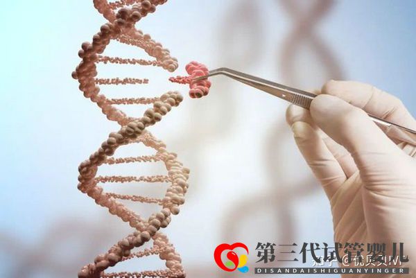 國內(nèi)的三代試管醫(yī)院都有哪些第一梯隊(duì)了解下(圖6) 國內(nèi)的三代試管醫(yī)院都有哪些第一梯隊(duì)了解下(圖6)