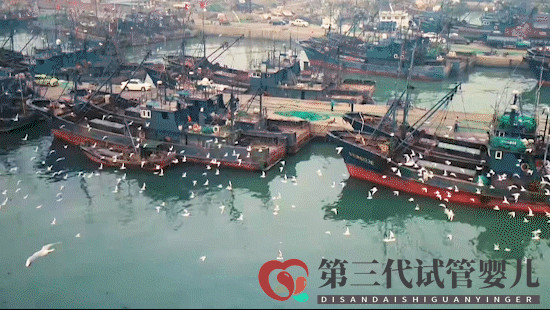 跟著王麗坤去打卡！日照這些地方火遍全國了！你去過哪個？(圖3)