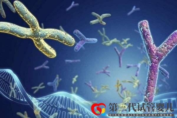 發(fā)生過胚胎染色體異常還能要寶寶嗎(圖2) 發(fā)生過胚胎染色體異常還能要寶寶嗎(圖2)