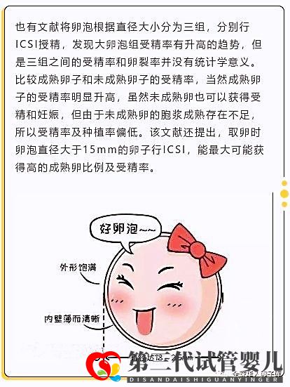 卵泡大小和試管成功率有關(guān)系嗎？大卵泡是不是越多越好？(圖3)