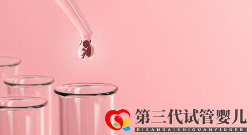 基礎卵泡會影響試管的成功率嗎(圖1) 基礎卵泡會影響試管的成功率嗎(圖1)