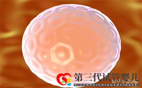 三代試管一個周期是什么意思(圖1)
