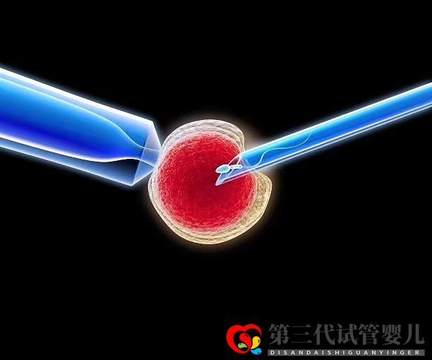 高齡女性在做三代試管時(shí)，取多少個(gè)卵子合適？(圖1)