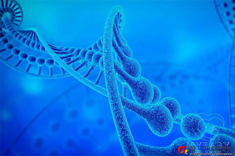 染色體異常能做試管嬰兒?jiǎn)?？試管嬰兒要查染色體嗎？(圖1)