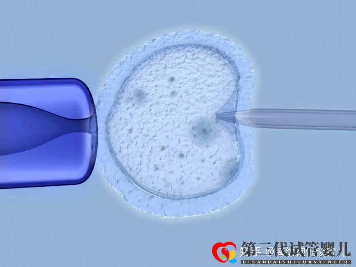 試管嬰兒1代、2代、3代、4代哪個最好真實操作過...(圖11)