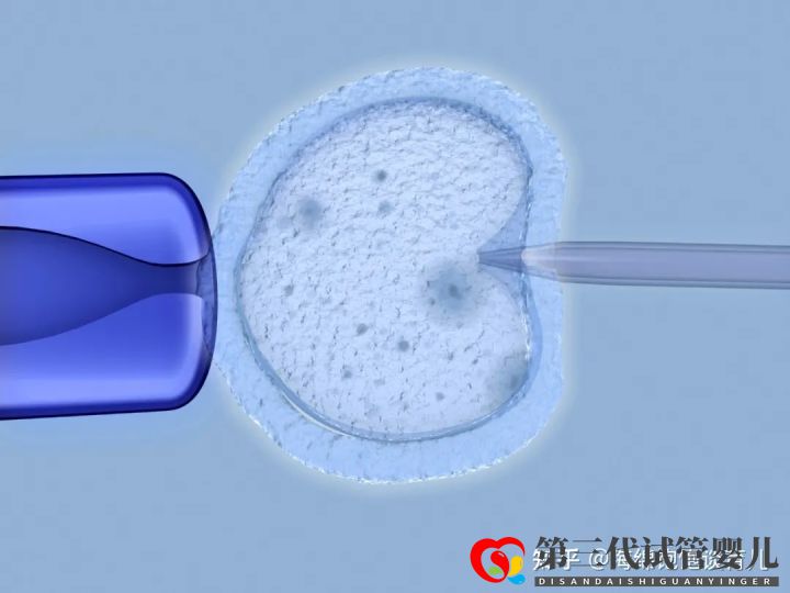 試管嬰兒1代、2代、3代、4代哪個最好真實操作過...(圖12)