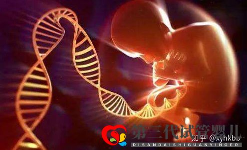 國(guó)內(nèi)第三代試管嬰兒可以選擇性別嗎心悅告訴你(圖3)