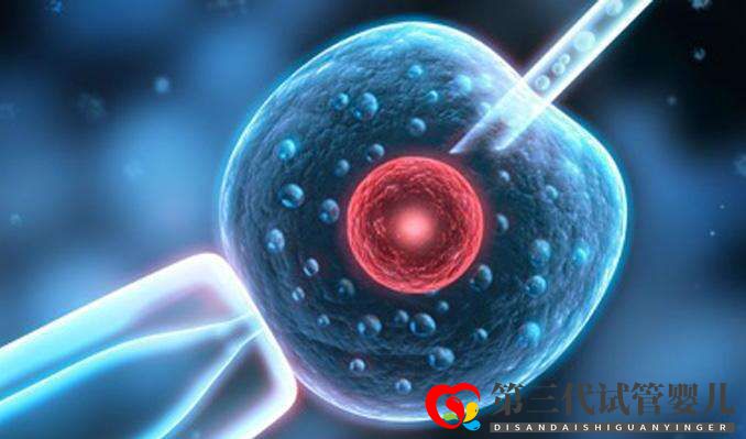 試管嬰兒取卵前后6大注意事項你知道多少？(圖1)