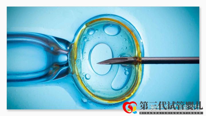 試管嬰兒費(fèi)用大約多少2022年——最全面的費(fèi)用詳解(...(圖2) 試管嬰兒費(fèi)用大約多少2022年——最全面的費(fèi)用詳解(...(圖2)