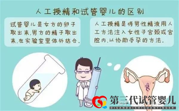 人工授精跟試管嬰兒的區(qū)別(圖2) 人工授精跟試管嬰兒的區(qū)別(圖2)