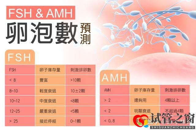 兩分鐘教你學(xué)會(huì)計(jì)算試管嬰兒成功率(圖1)