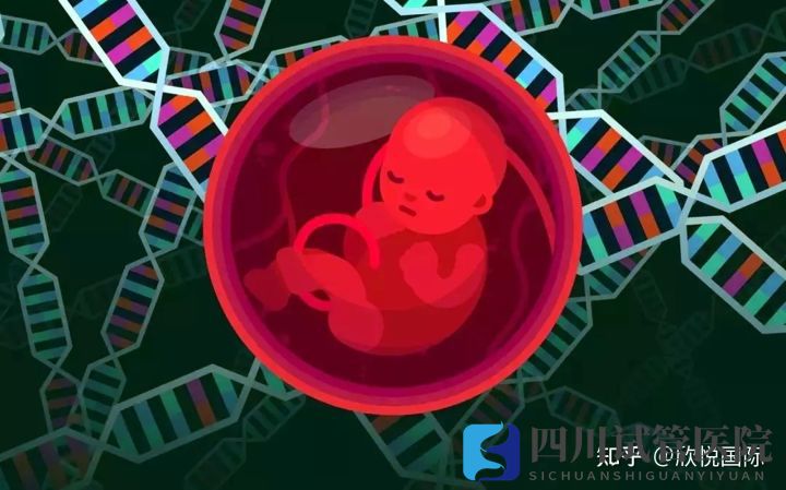 成都第三代試管嬰兒費(fèi)用大概多少錢(圖2) 成都第三代試管嬰兒費(fèi)用大概多少錢(圖2)