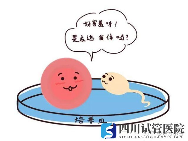 成都三代試管多少錢公立醫(yī)院和服務(wù)機(jī)構(gòu)有什么區(qū)(圖1) 成都三代試管多少錢公立醫(yī)院和服務(wù)機(jī)構(gòu)有什么區(qū)(圖1)