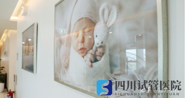 成都做三代試管要準(zhǔn)備多少錢(圖1)
