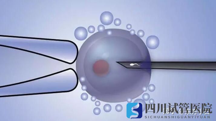 成都做三代試管要準(zhǔn)備多少錢(圖5)