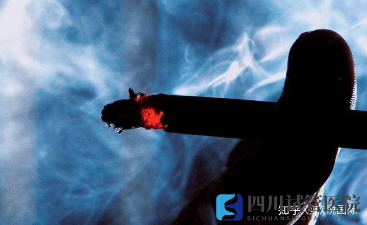成都做試管嬰兒的費用是多少(圖3) 成都做試管嬰兒的費用是多少(圖3)