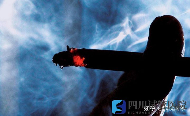 成都做試管嬰兒的費用是多少(圖4) 成都做試管嬰兒的費用是多少(圖4)
