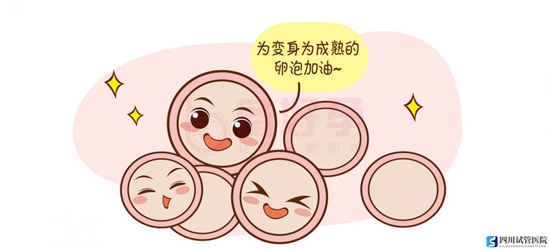 試管嬰兒的具體流程是什么？(圖1)