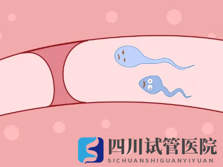 輸卵管堵塞怎么辦？做手術還是做試管嬰兒好？(圖1)