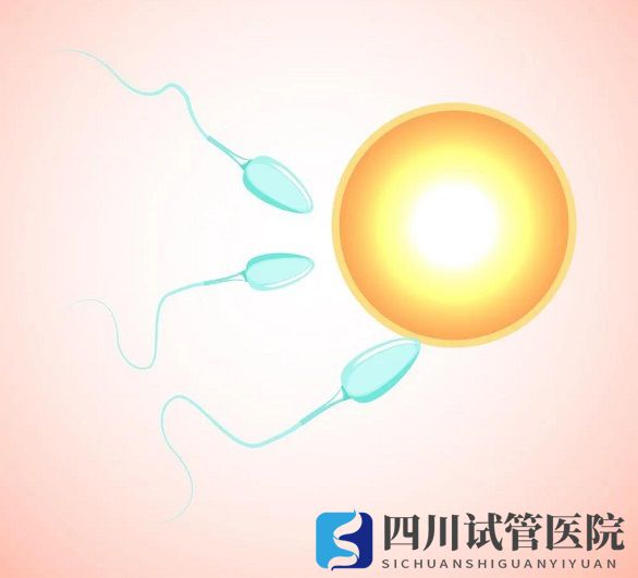 越年輕做試管嬰兒成功率就越高嗎？(圖1)