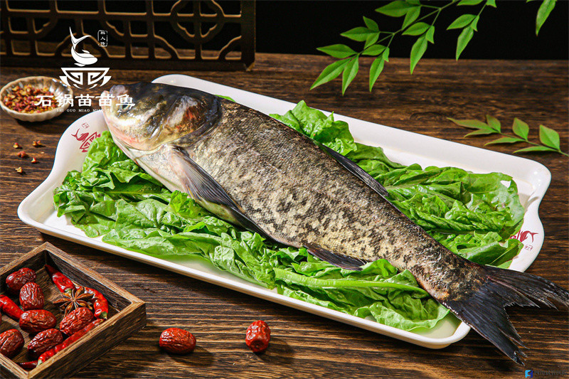 成都加盟火鍋哪家好？石鍋苗苗魚是成都火鍋的靈魂(圖1)