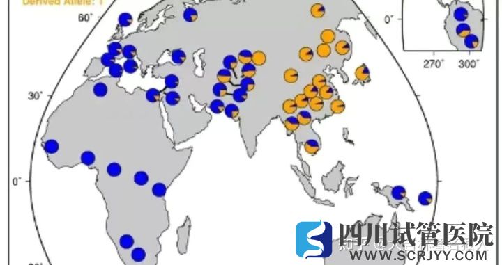 美國(guó)34%的混血兒患精神障礙_一文顛覆你對(duì)混血寶寶...(圖4)