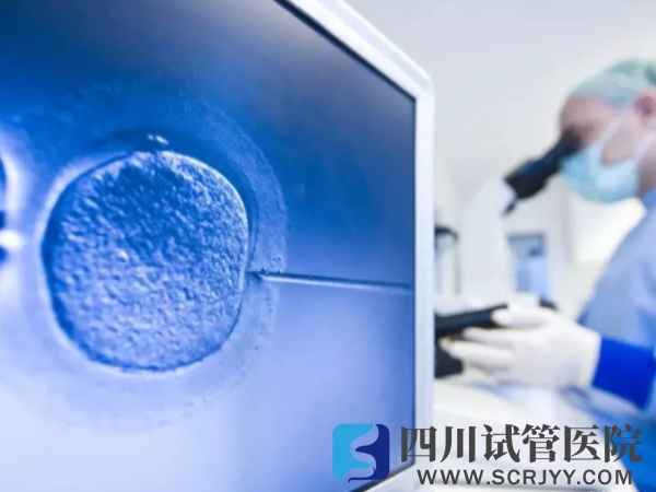 影響試管嬰兒費用的因素