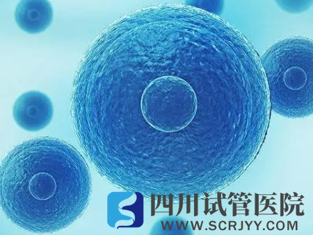 揭秘試管著床7個(gè)小妙招，飲食吃對(duì)了想失敗都難！(圖1)