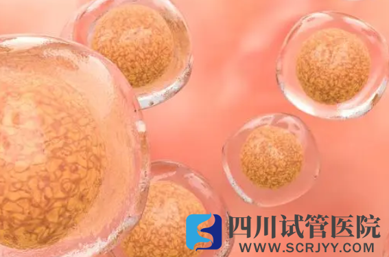揭秘移植凍胚后著床時(shí)間線，一文知幾天著床有什么感覺(圖2)