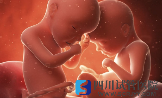 三代試管做雙生子的條件，胚胎質(zhì)量和卵巢功能好才能做(圖3)